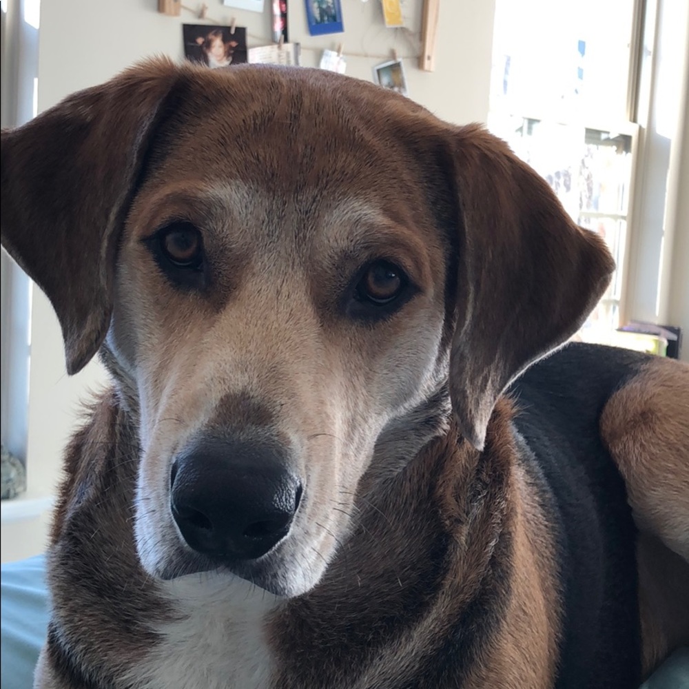 Meet your Posher, Bailee